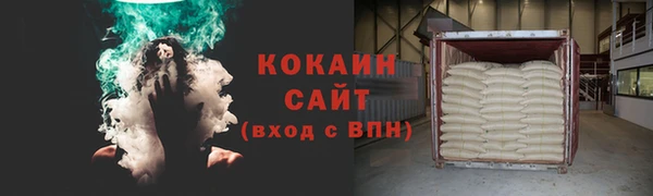 кокс Алексин